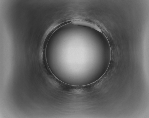 X0000112080344200908041258