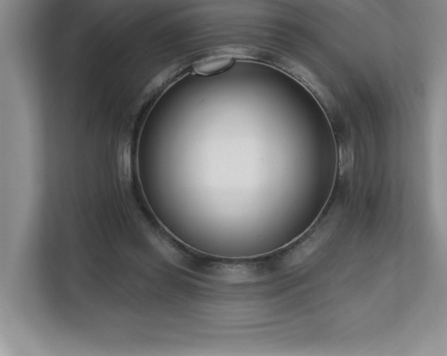 X0000112080349200908041258