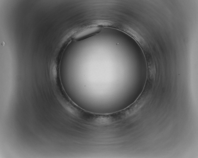 X0000112080350200908041258