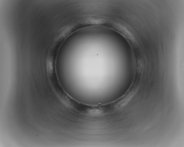 X0000112080358200908041258