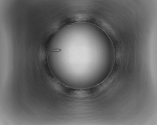 X0000112080367200908041258