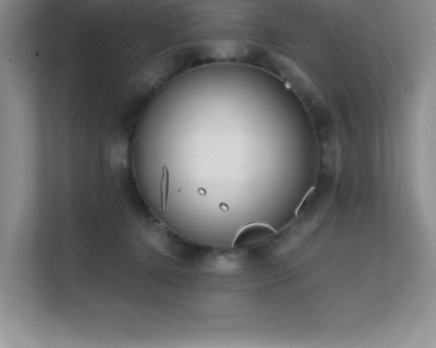 X0000112080368200908041259