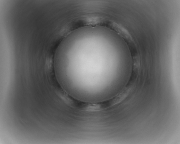 X0000112080369200908041259