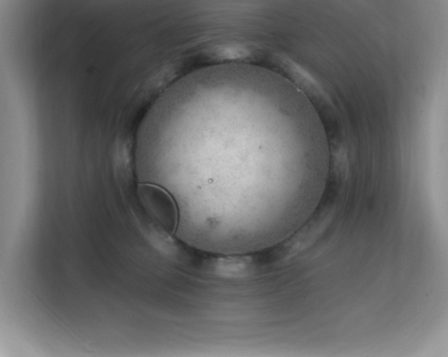 X0000112080373200908041259