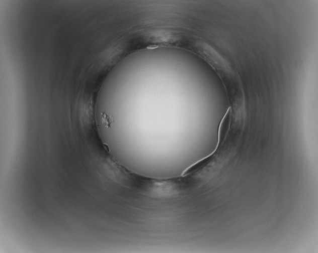 X0000112080376200908041259