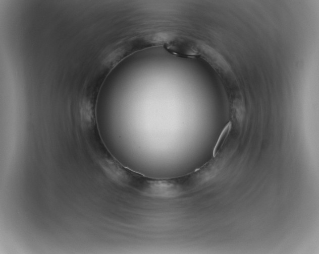 X0000112080380200908041259