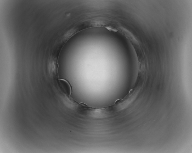 X0000112080382200908041259