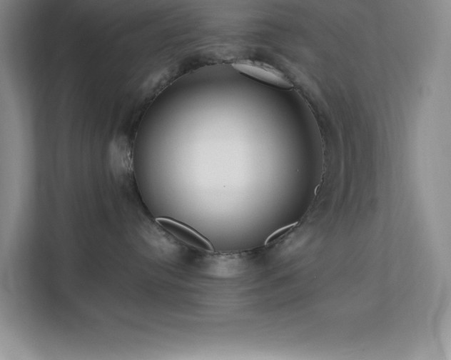 X0000112080384200908041259