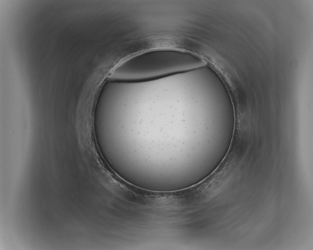 X0000112080385200908041258