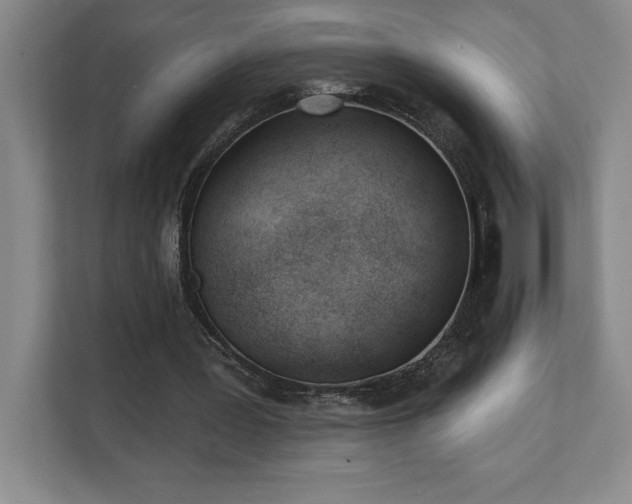 X0000112080387200908041258