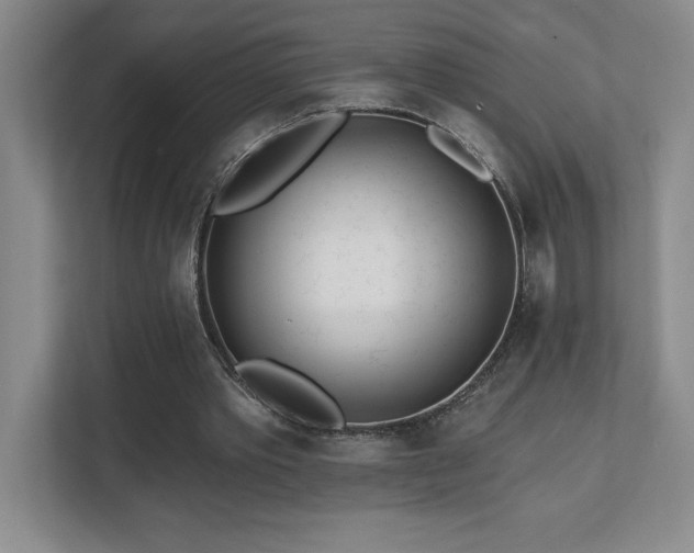 X0000112080389200908041258