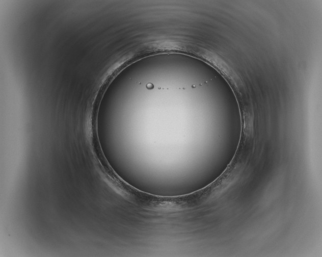 X0000112080390200908041258