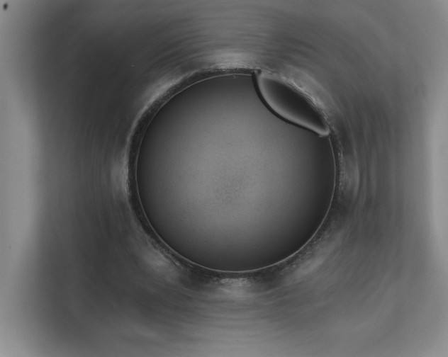X0000112080391200908041258