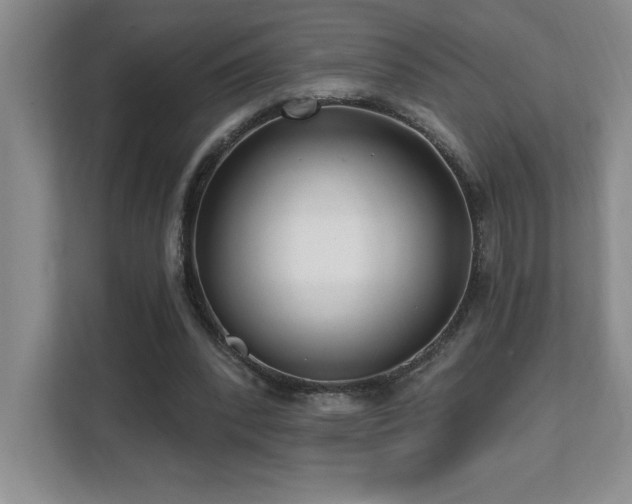 X0000112080392200908041258