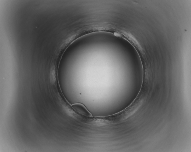 X0000112080393200908041258