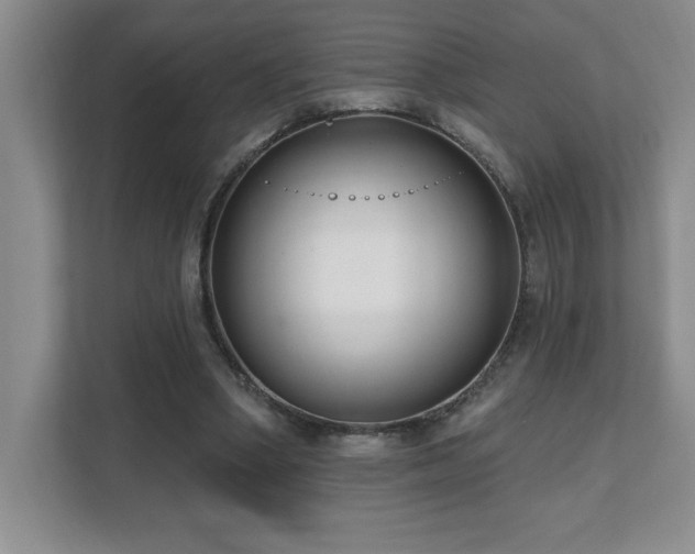 X0000112080394200908041258
