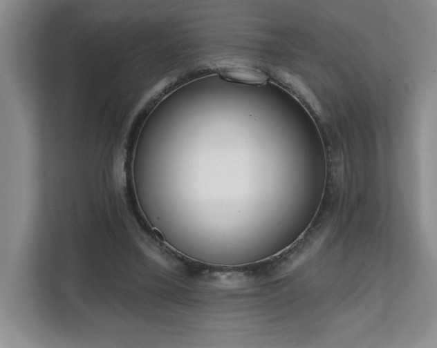 X0000112080395200908041258