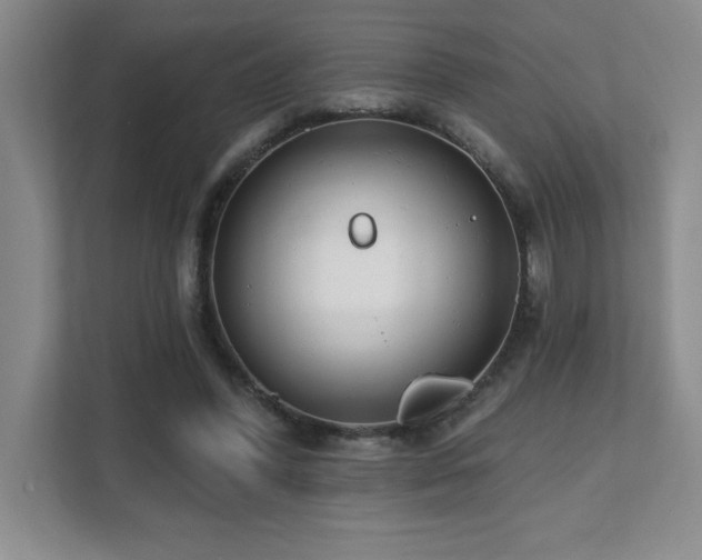 X0000112080396200908041258