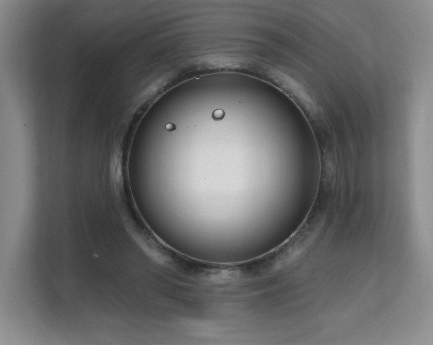 X0000112080398200908041258