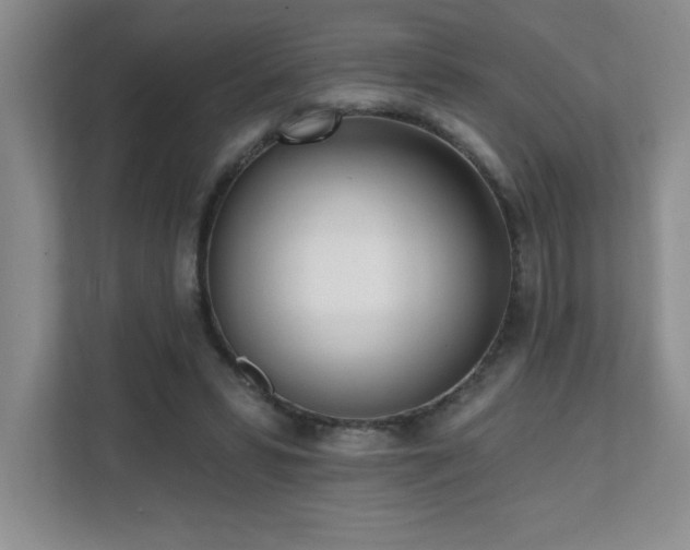 X0000112080399200908041258