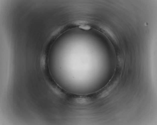X0000112080404200908041258