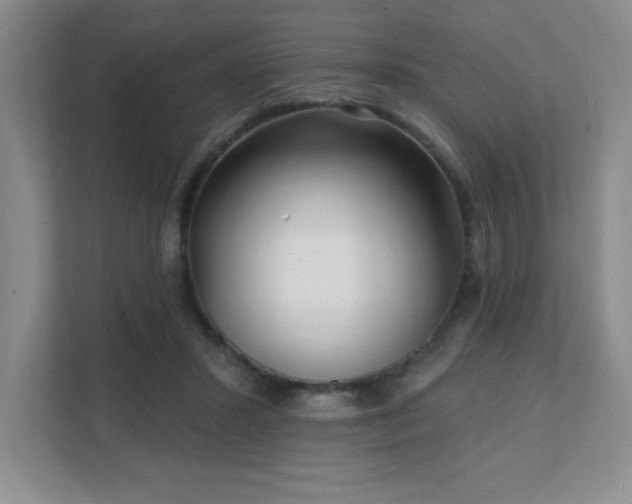 X0000112080407200908041258