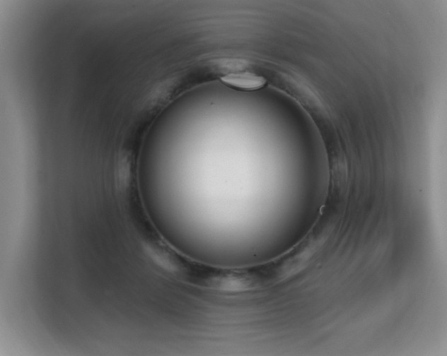 X0000112080412200908041258