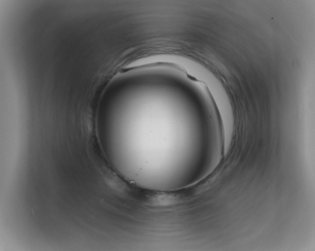 X0000112080413200908041258