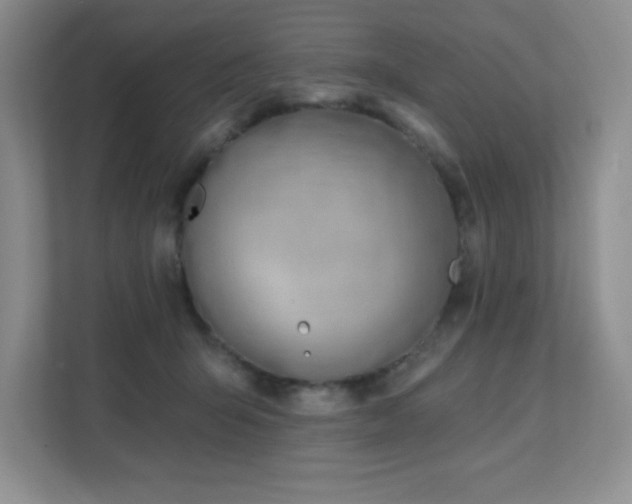 X0000112080415200908041258