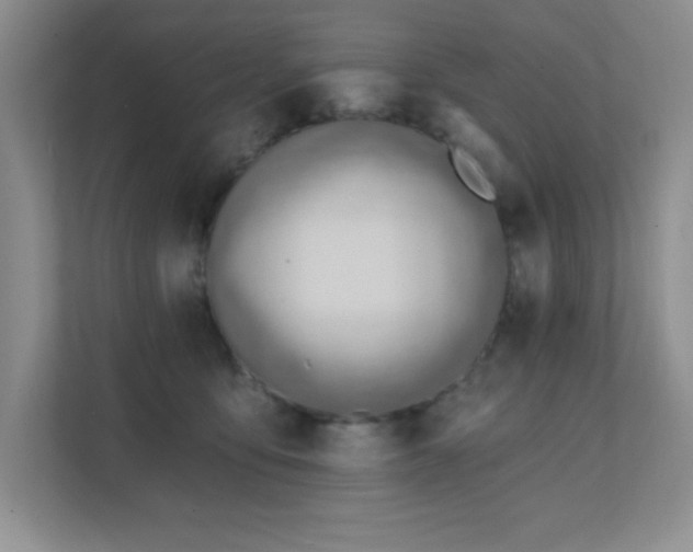 X0000112080419200908041258