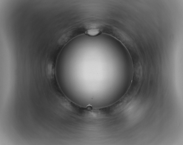 X0000112080420200908041258