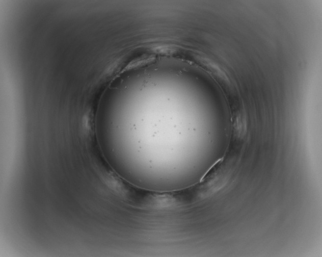 X0000112080424200908041258