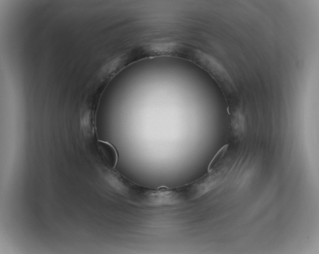 X0000112080428200908041258