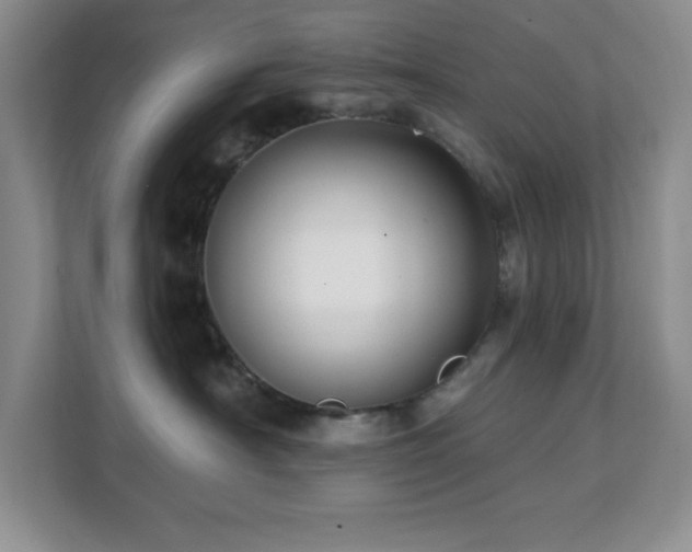 X0000112080430200908041258