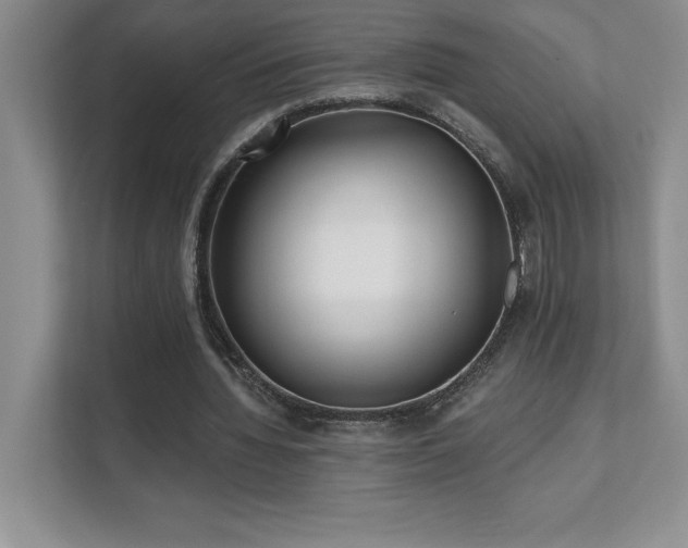 X0000112080436200908041257