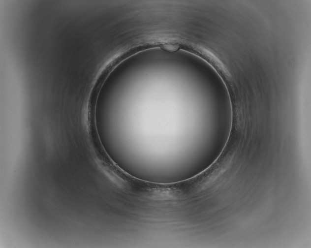X0000112080439200908041257