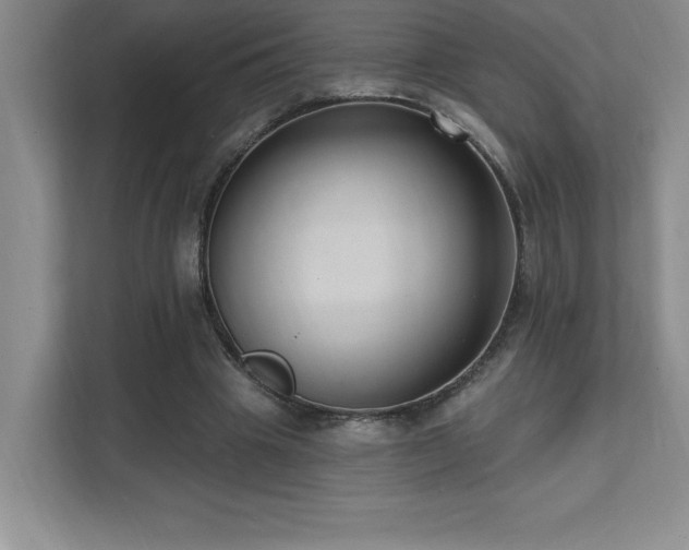 X0000112080441200908041257