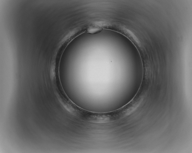 X0000112080443200908041257