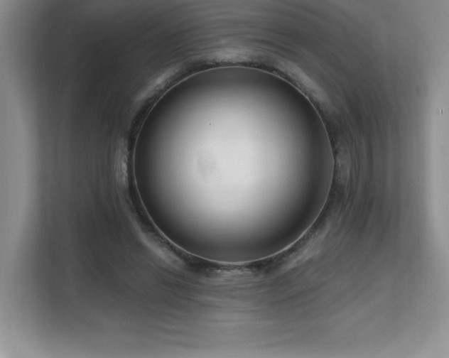 X0000112080446200908041257
