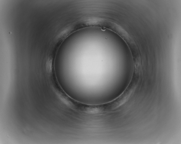 X0000112080454200908041257