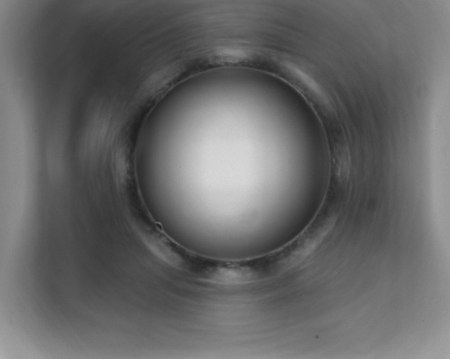 X0000112080455200908041257