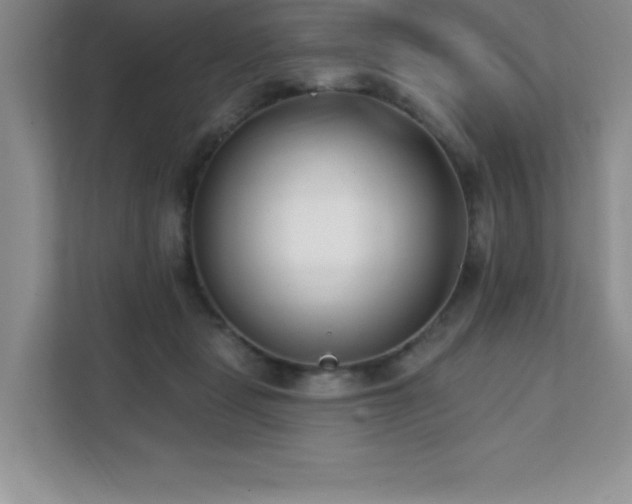 X0000112080461200908041257