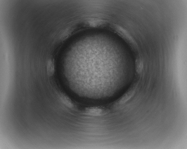 X0000112080471200908041257