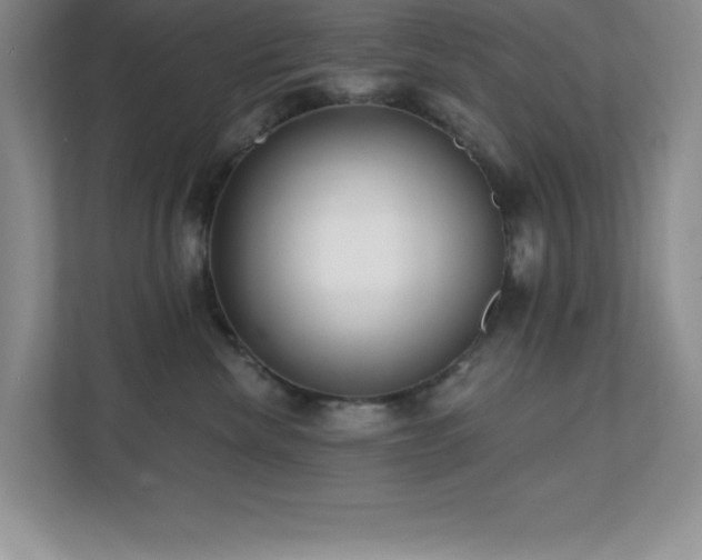 X0000112080476200908041257
