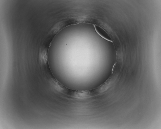 X0000112080479200908041257