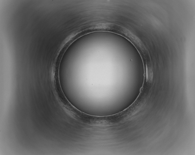 X0000112080483200908041257