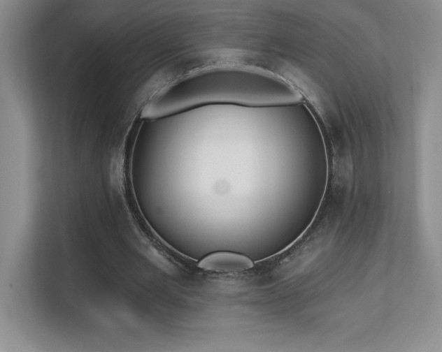 X0000112080485200908041257
