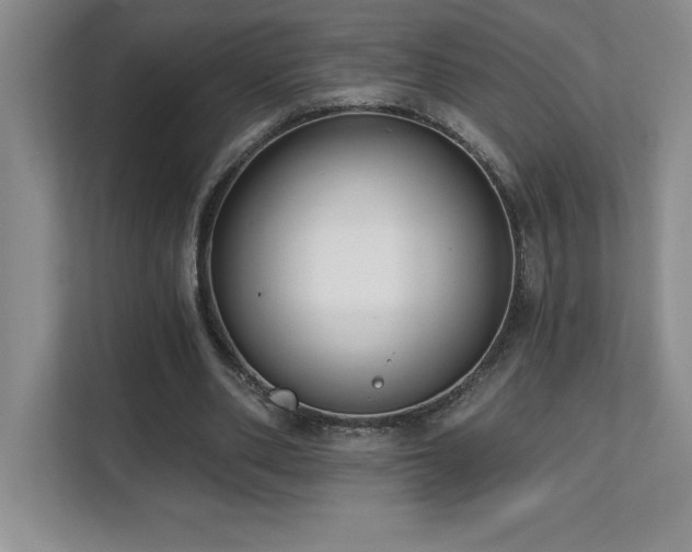 X0000112080486200908041257