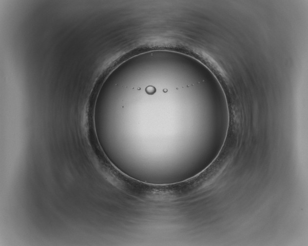 X0000112080487200908041257