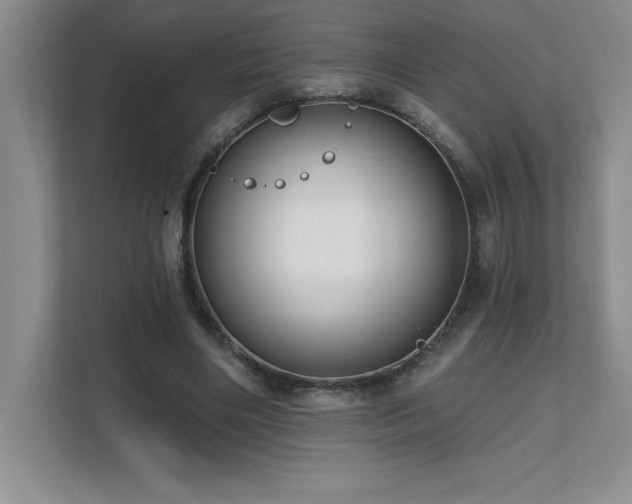 X0000112080490200908041257